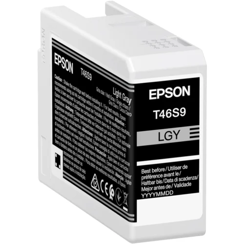 Epson ink cartridge light gray T 46S9 25 ml Ultrachrome Pro 10