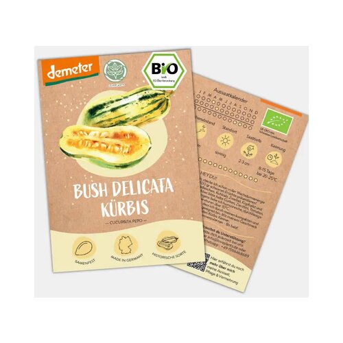 BIO buče &amp;ldquo;Bush Delicata&amp;rdquo; Slike