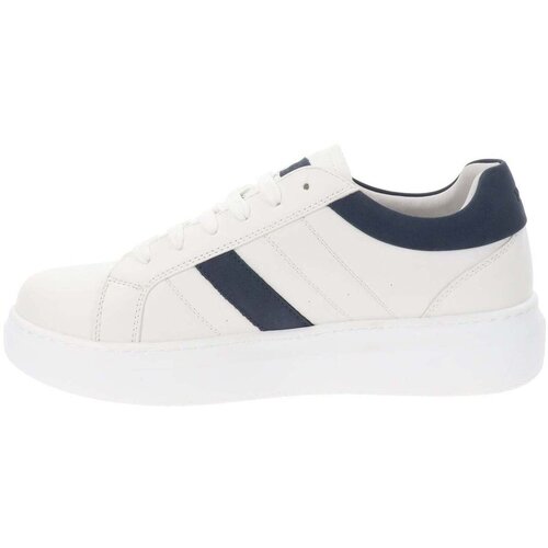 Ferre Modne superge FU111 Bela Cene