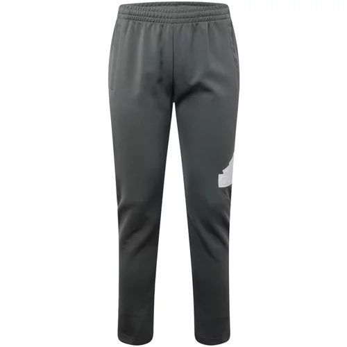 ADIDAS SPORTSWEAR Športne hlače grafit / srebrno-siva