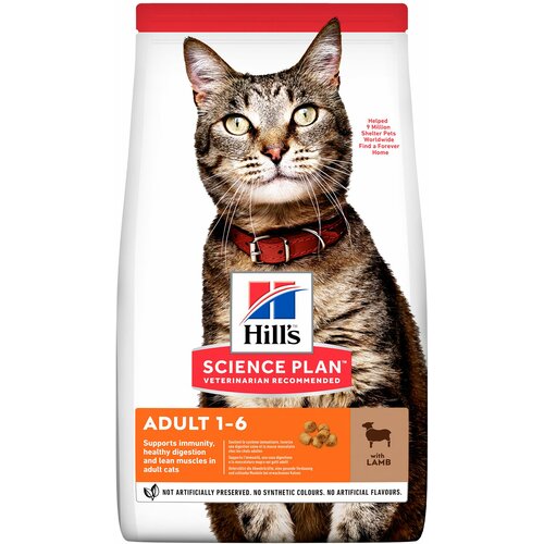 Hill’s science Plan™ mačka adult jagnjetina i pirinač, 10 kg Cene