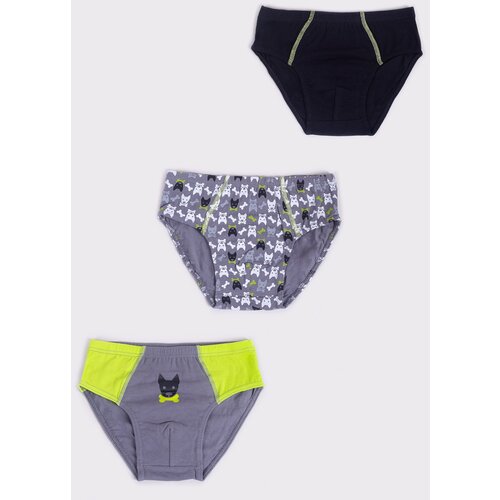 Yoclub Kids&amp;#039;s 3Pack Boys&amp;#039; Briefs BMC-0034C-AA20-002 Slike