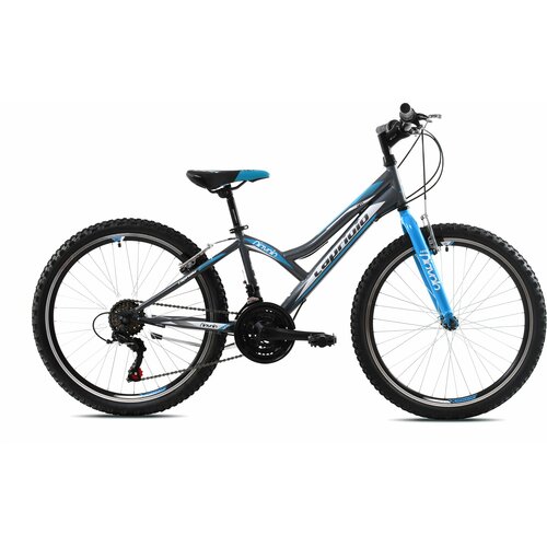 Capriolo mtb diavolo 400 24 18HT sivo-plava 13 (920301-13) muški bicikl Slike