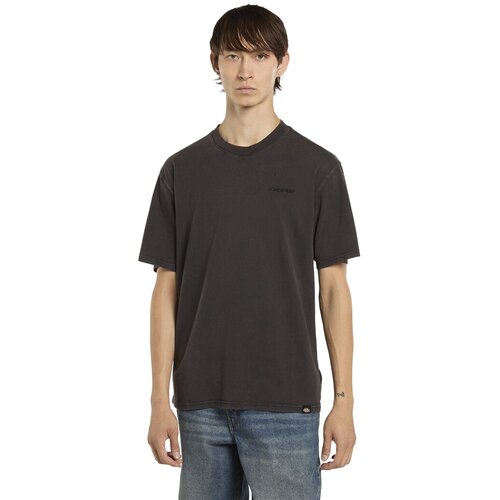 Dickies Plentywood majica Cene