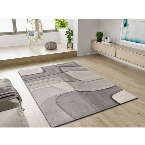 Universal Siva preproga 160x230 cm Medel &amp;ndash; Slike