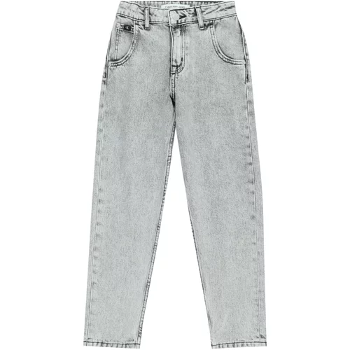 Calvin Klein Jeans Kavbojke siv denim