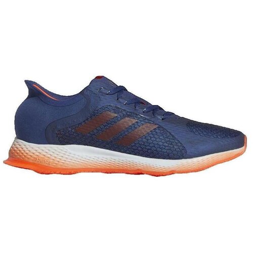Adidas Nizke superge Focus Modra Cene