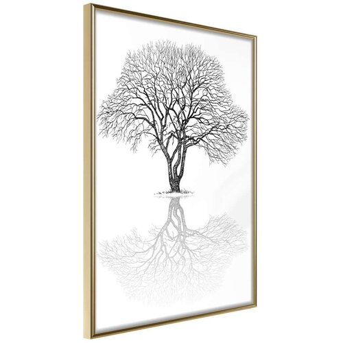  Poster - Roots or Treetop? 40x60 Cijene