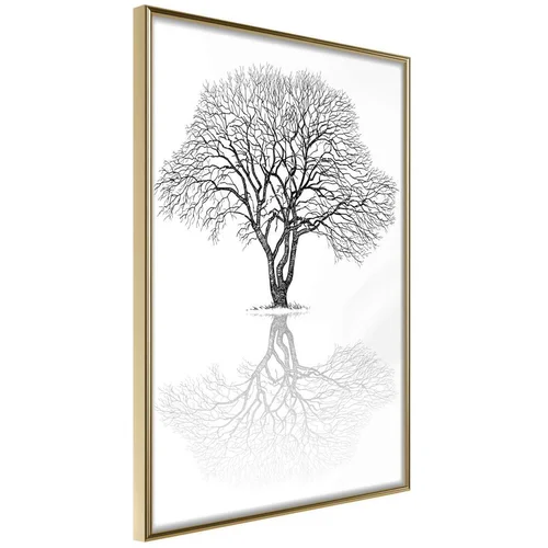  Poster - Roots or Treetop? 40x60