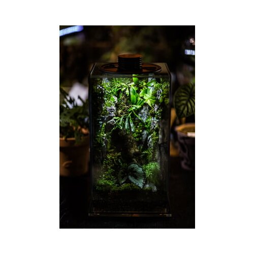 Bioloark Bio Bottle model FD - 200 Cene