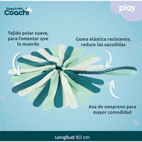  Igrača za pse Coachi PUPPY &amp;amp; MINI TUGGI SPIDER Zelena Slike