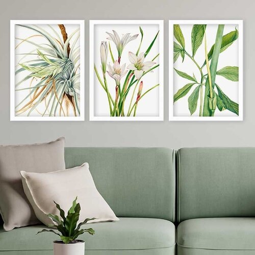 Wallity Set uramljenih slika 3BC_12621251, 3 Dela Cene