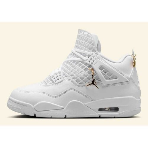 Nike Wmns air jordan 4 net Cene