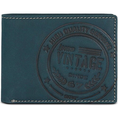 Skpat Vintage Blue Slike
