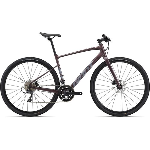  Bicikl GIANT FastRoad AR 3 Charcoal Plum - XL Cijene