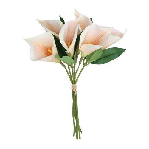 Kale 35CM ROZE PVC Cijene