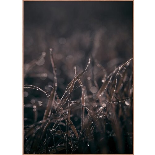 Malerifabrikken Plakat s okvirom 50x70 cm Mellow Grasses 5 – Cijene