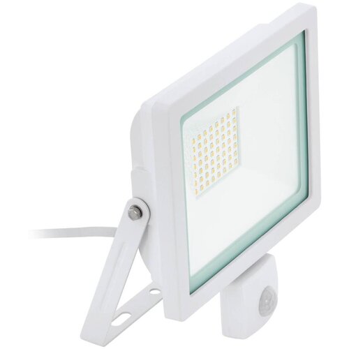 Eglo 64877 - LED reflektor sa senzorom FILETTI LED/50W/230V 3000K IP44 bela Cene
