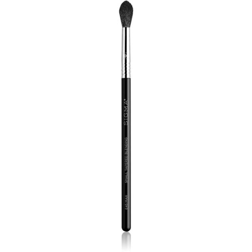 Sigma Beauty E45 - Small Tapered Blending Brush Cene