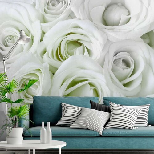  Samoljepljiva foto tapeta - Satin Rose (Green) 245x175 Slike