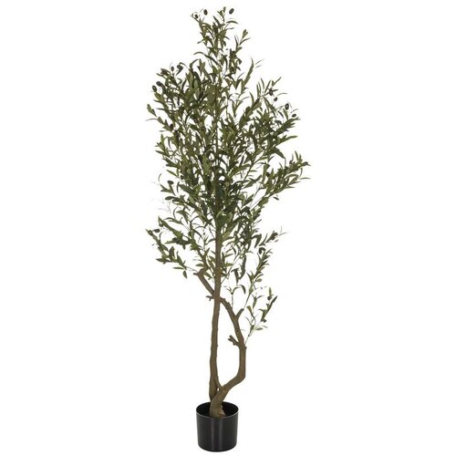 MID.YOU Umetna Rastlina Olive I Slike