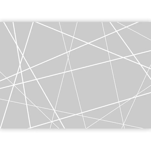  Foto tapeta - Modern Cobweb 350x256 Slike