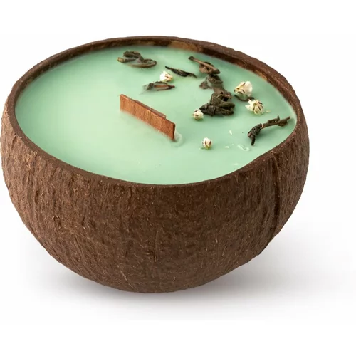 Tropicandle Green Tea dišeča sveča z lesenim stenjem 350 ml