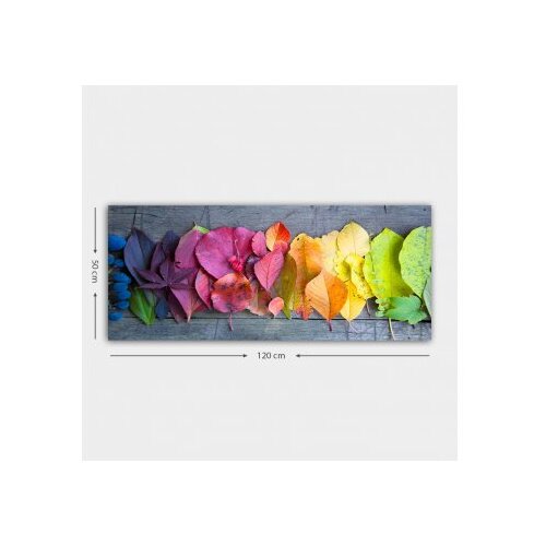 Wallxpert dekorativna slika YTY225930193_50120 Slike