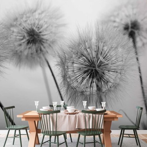  Foto tapeta - Time for Dandelions - Second Variant 400x280 Cene