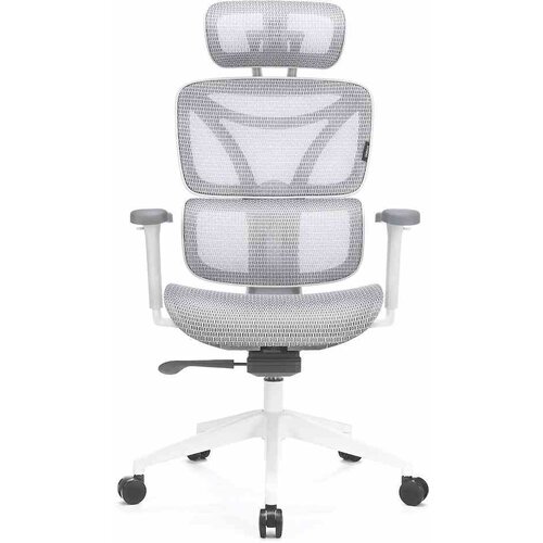 LVN System Ergonomski stol  Control Series White Cene