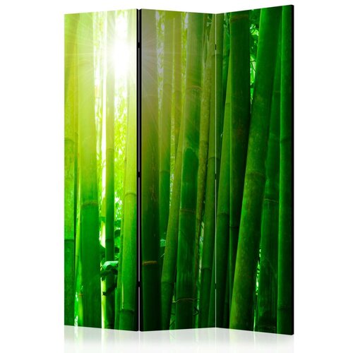  Paravan u 3 dijela - Sun and bamboo [Room Dividers] 135x172 Slike