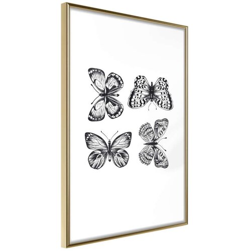  Poster - Butterfly Collection III 20x30 Slike