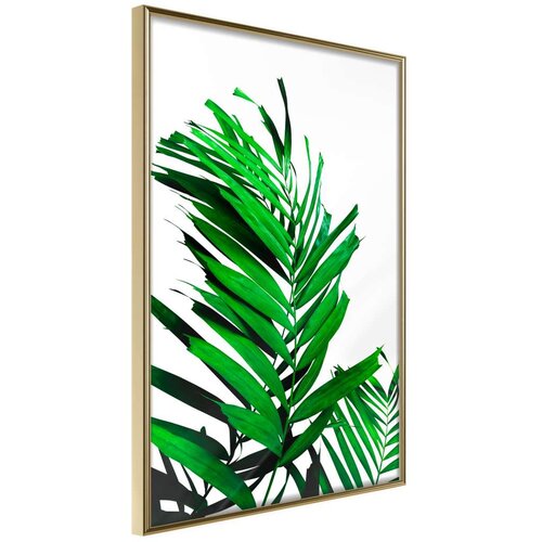  Poster - Emerald Palm 20x30 Slike