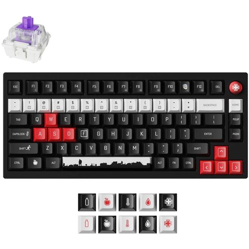 KEYCHRON DayZ Special Edition Brezžična magnetna tipkovnica po meri / Black / Gateron Nebula / P1H-M1P-DZ, (5000120101) Cene