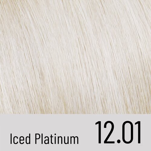 ALFAPARF MILANO Il Salone Milano Plex Rebuilder permanentna barva za lase odtenek 12.01 - Iced Platinum 1 kos Slike