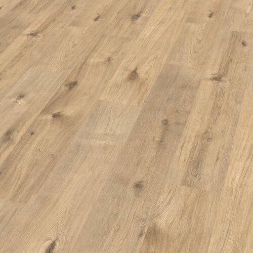 x laminat hrast bremberg (1.292 193 7 mm, rustikalni pod) Cijene
