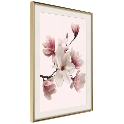  Poster - Blooming Magnolias I 20x30