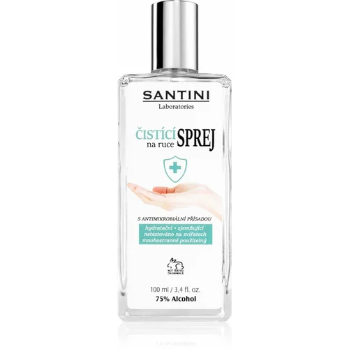 SANTINI Cosmetic Santini spray čistilno pršilo za roke z antimikrobnim dodatkom 100 ml