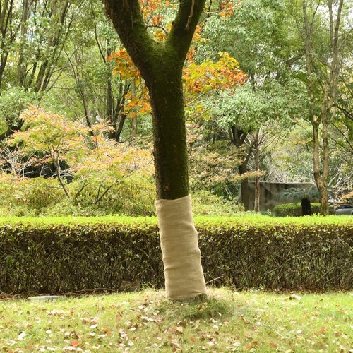  Rola jute 1 x 50 m 100 % juta 200 g/m&amp;sup2; Slike