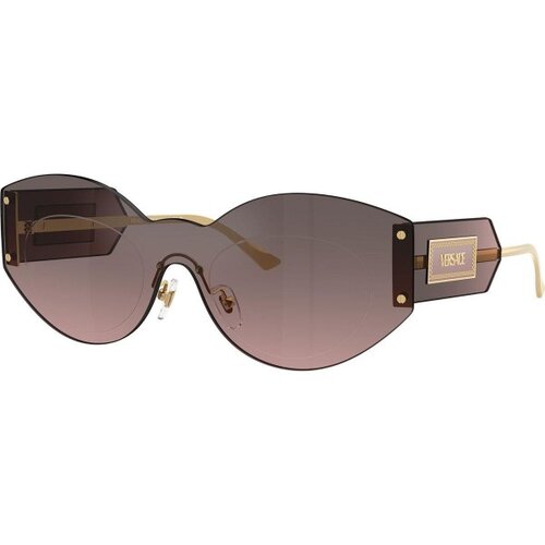 Versace VE2276 100258 ONE SIZE (44) Srebrna/Siva Slike