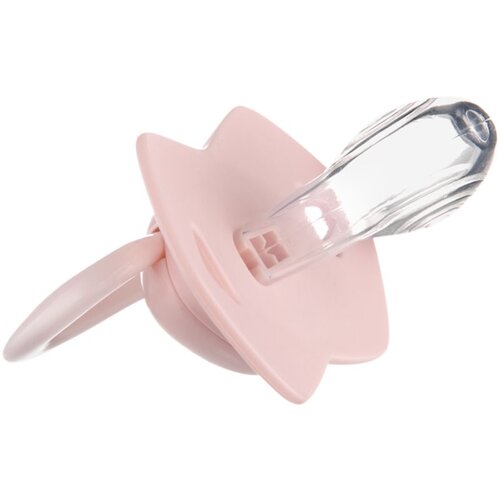Canpol babies silikonska varalica 0-6m bonjour paris 2 kom 22/647 pink ( 22/647_pin ) 22/647_pin Slike