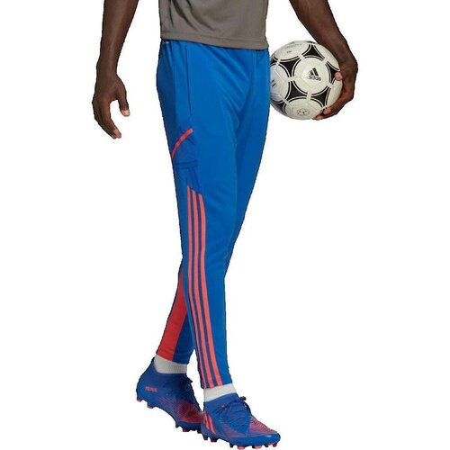 Adidas Hlače Pantalon Condivo 22 Predator Modra Cene