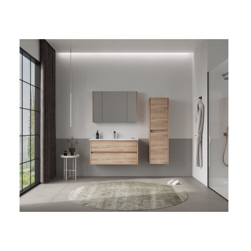 Hanah home Ormarić sa umivaonikom Side 100 v3 623 Cene
