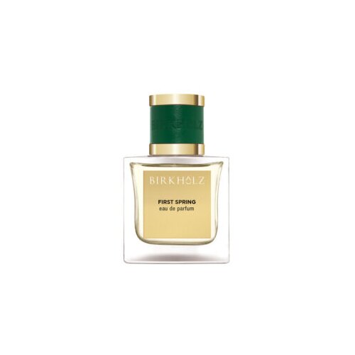 Birkholz first spring eau de parfum 100ml Cene