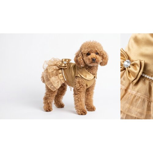 Doggydolly SVEČANA HALJINICA za pse, FO23 haljina gold pearl S, 30cm Slike