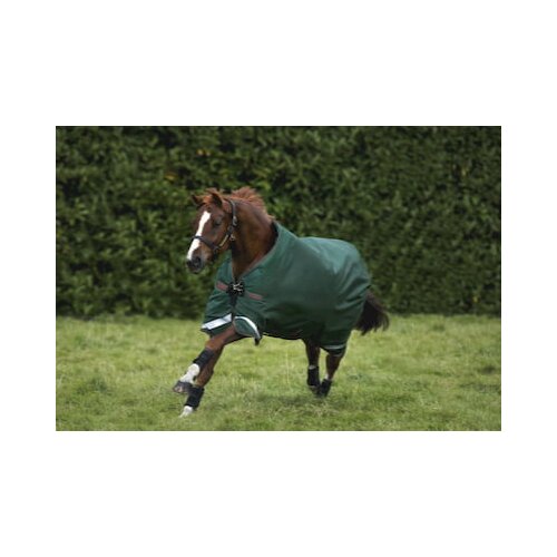 Horseware Ireland Pregrinjalo Rambo Original Turnout 100g green/red - 140 cm Cene