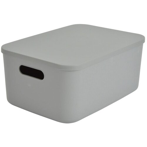 Hom&amp;eacute;a Svijetlo zelena plastična kutija za pohranu s poklopcem 35,5x25,5x16 cm &amp;ndash; Slike