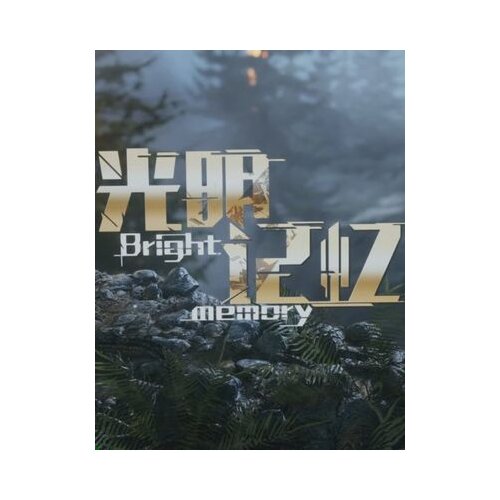 Steam bright memory key global Cene