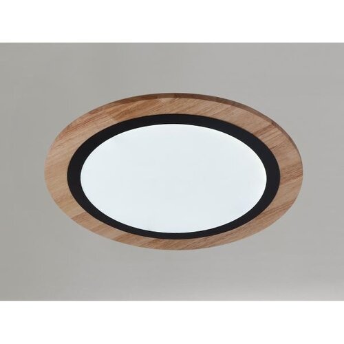  Prigu&amp;scaron;iva LED stropna svetiljka 25W/230V 3000-6500K + daljinski upravljač Slike