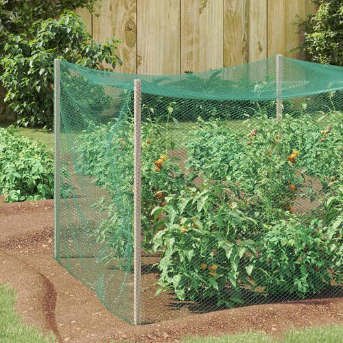 vidaXL Mreža za za&scaron;titu ptica Zelena 2 x 5 m HDPE Cijene